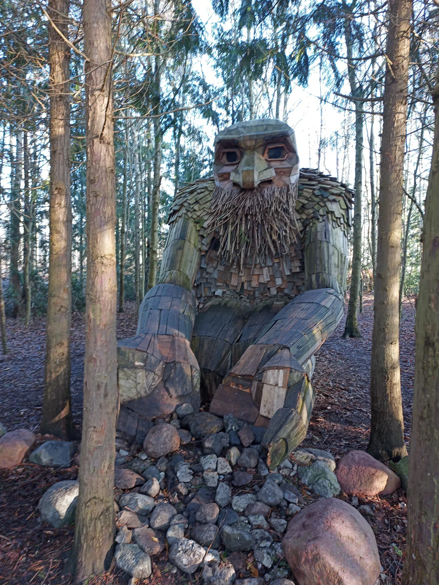amazing forest troll